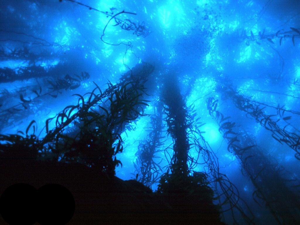 Ceci Tchetchi On Twitter Il Y A Souvent Plus De Choses