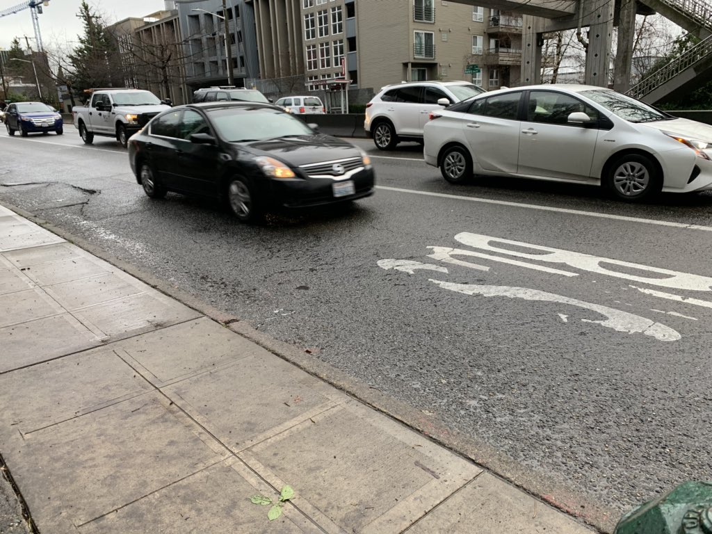 evanbush's tweet image. A lot of Todds this morning, cruising the bus lane on Aurora Ave. #ViaDoom #Realign99