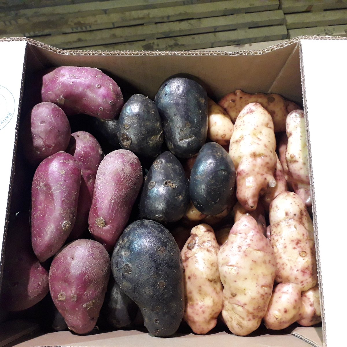 BallymakennyF's tweet photo. Trying to get the word out folks our #potatoes are now in season. Would love to hear from chefs from all over Ireland wanting to try them DM or tweet me. We are an Irish Family Farm and every single box sold is important to us..Lines are open LOL. https://t.co/RqhBaKZrHu
