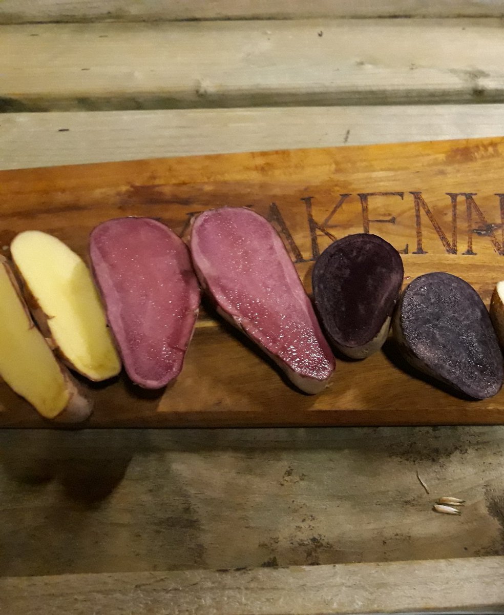 Trying to get the word out folks our #potatoes are now in season. Would love to hear from chefs from all over Ireland wanting to try them DM or tweet me. We are an Irish Family Farm and every single box sold is important to us..Lines are open LOL.