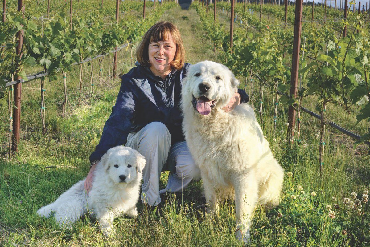 Please help us wish Christine a happy birthday! We celebrate Christine today and thank her for being our fearless leader. #HappyBirthday CC!🍾🥂🍾