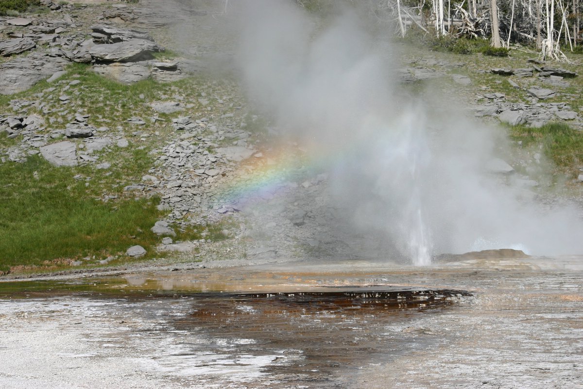 Looking forward to sharing images of wildlife with the Twitter community, including stories of adventures into the wild.  For more check out my website gowildthings.com