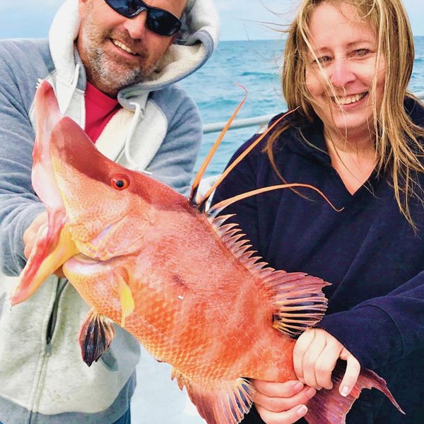 EngelCoolers's tweet photo. Monster #hogfish from a recent 10hr all day #fishing trio at #HubbardsMarina
@hubbardsmarina EngelCoolers @engelcoolers #BassProShops #TeamOutdoors #OffshoreAngler #FloridaGuidesAssociation #OffshoreFishing #BottomFishing #SaltwaterFishing #FloridaSaltLife https://t.co/rEmI5iNK7W