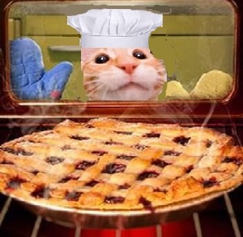 CatsoNemec's tweet photo. Happy #NationalPieDay ! #ChefCatso made this #catsolicious hot pie for my awesome followers, but not for silly @imcorinnemec ! He is still banned because the missed #CatsoTweet ! #miau https://t.co/nqNHhwnXJR