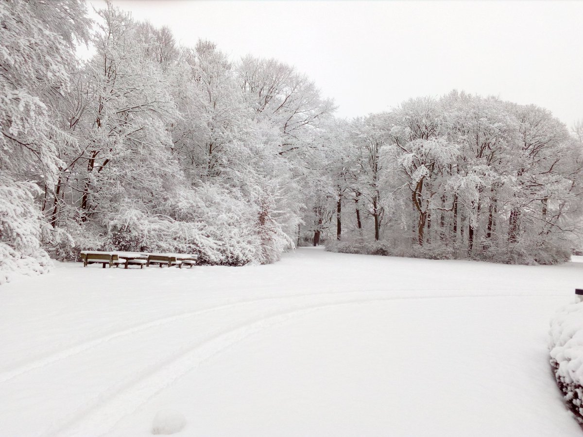 Koivis2016's tweet photo. Not only in Canada! 😉 Winter also arrived in Belgium. @Lunar_Luster https://t.co/UPco3iP1XD