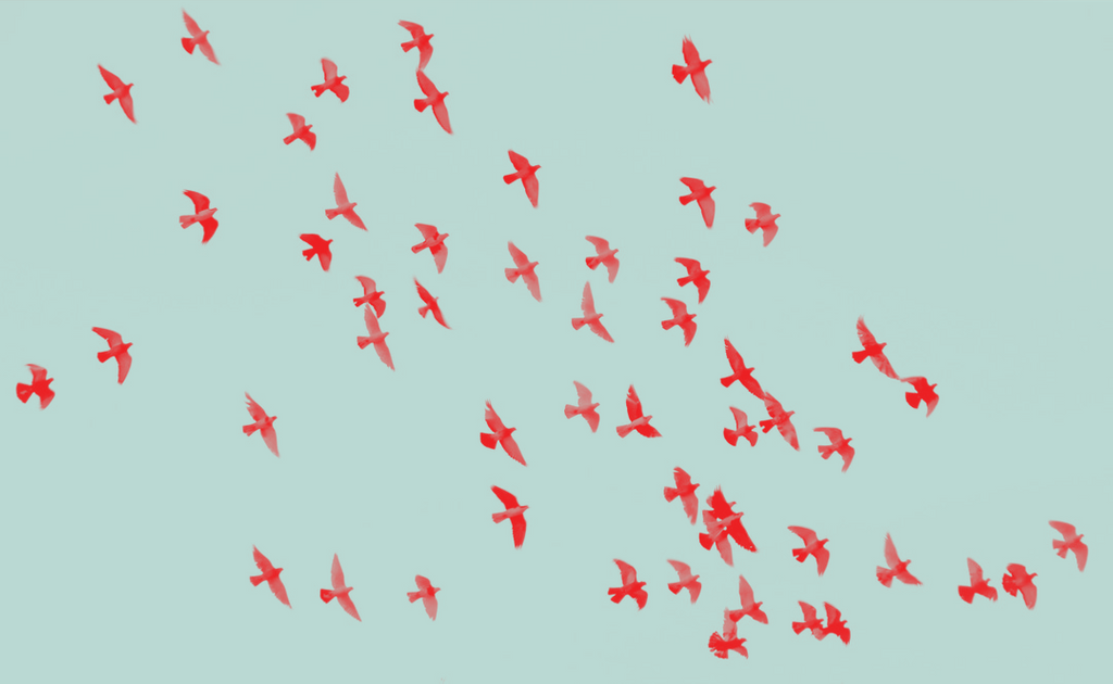 FloLabCollab tweet picture