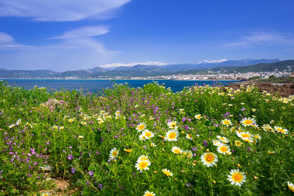 PureCreteAptera's tweet image. April is the perfect time to visit Crete.  Spring flowers in full bloom, quiet beaches &amp;amp; Easter festivites. As always the food is delicious and the Cretan's are so welcoming. Whats not to love? purecrete.com/easter-in-cret… #Crete