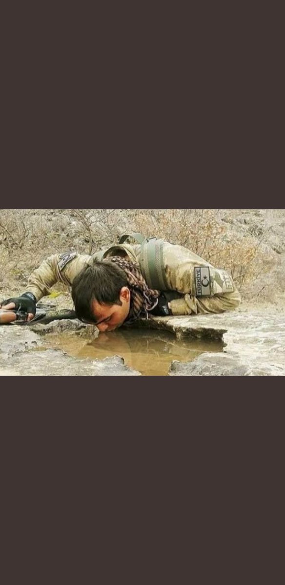 brahimHalilAl17's tweet photo. #UzmCvslarMunbice https://t.co/ypRvs9XHbX