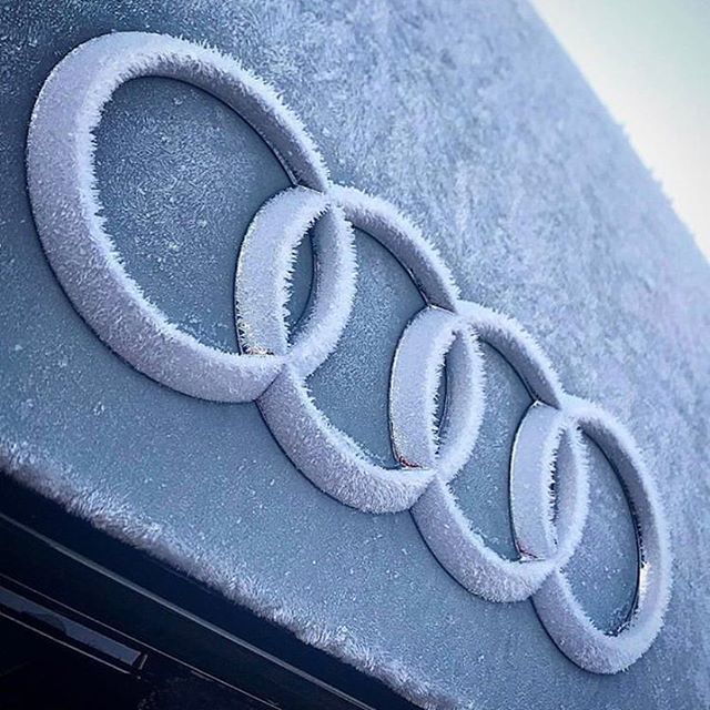 audidriven's tweet photo. Weather forecast: quattro
-10*C / 50*F here in Austria 🇦🇹
How about where you are?
•
#Audiquattro #quattrowinter #quattrosnow
#quattrofun
•
📷 @audibrighton
•
----
oooo #audidriven - what else
----
.
. .
.
#Audi #RS4 #AudiRS4 #quattro #RS3 #RS5 #RS6 … https://t.co/7UHYVIEs2C https://t.co/e4lJHzFGKA