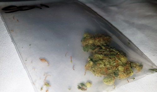 skyline_king88's tweet photo. Come on over and check out the Amsterdam Review from smoke member @ green-der
#cannabisculture #cannabis #cannabisreview #worldlegalization #smokenetwork @SMOKE_io #CannabisIsMedicine 

https://t.co/MN35V5bwop https://t.co/CLCXGIUBzV