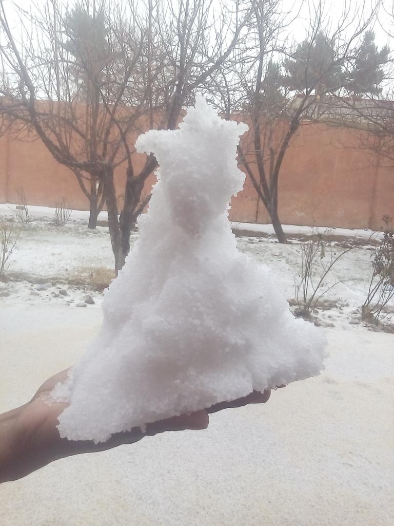 72ffea7e5d9a43f's tweet image. news-in.dailyadvent.com/news/detail/44…