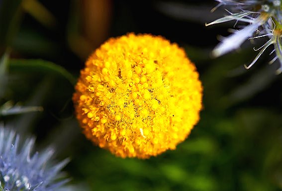 Addy Ice Angel tweet media