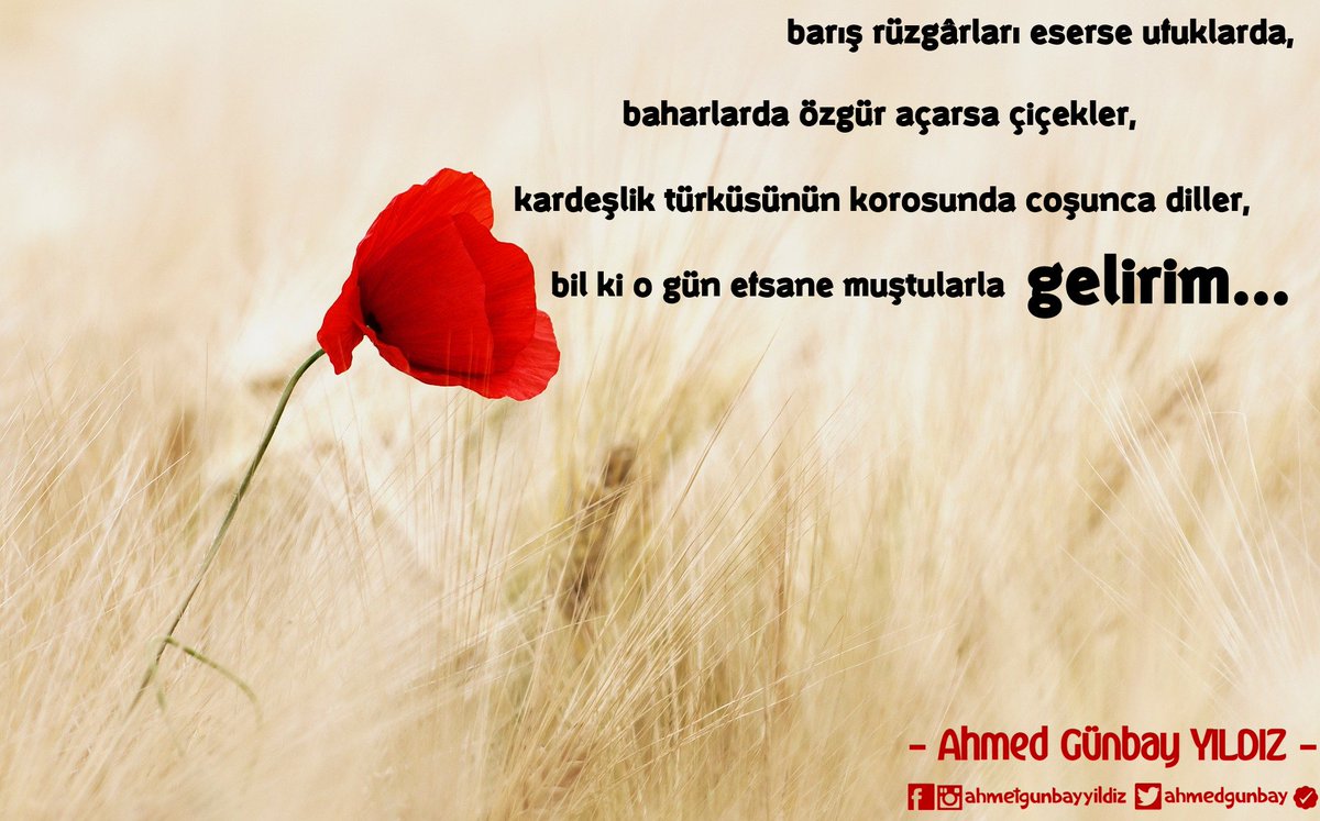 Ruhların barışı en çok özlediği mevsimlerde,
ömrümce,
kan rengi açmayan çiçeklerden derlediğim,
hayalleri süsleyen buketlerle gelirim...

#AhmedGünbayYıldız