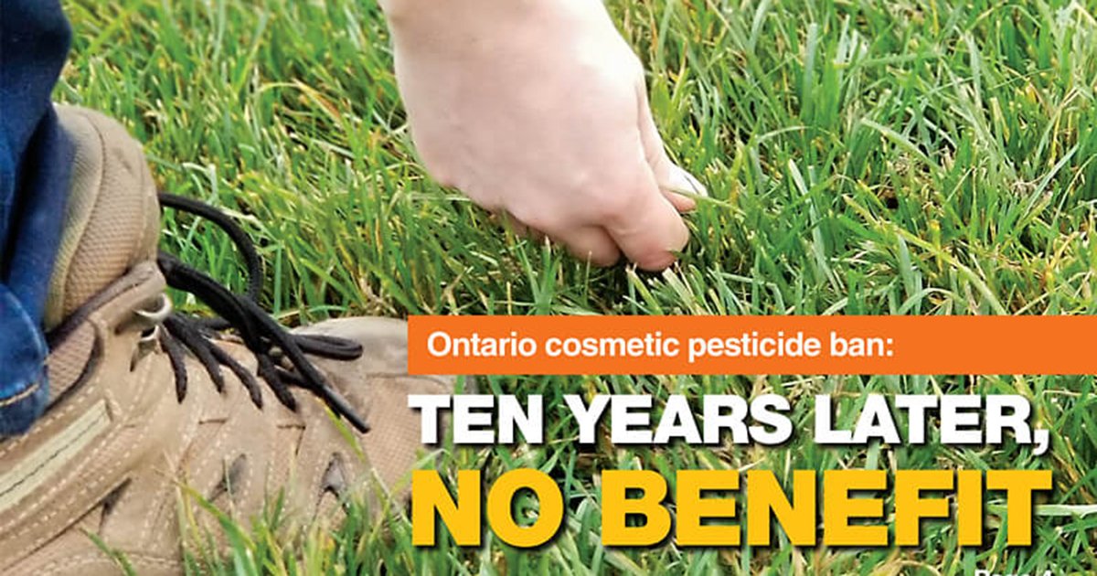 10 Years on, No Benefit - Ontario's Cosmetic Pesticide Ban

Read the story online in LO Magazine:

horttrades.com/ontario-cosmet…