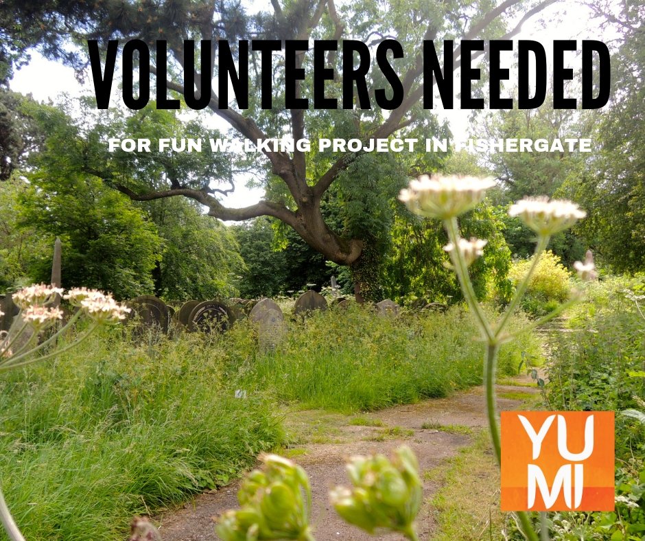 We need #volunteers to work on a brand new #walking project in @FishergateYork. Full training &amp; support will be given. We need people to be involved in researching walks &amp; trying them out. And we would love your stories of Fishergate. <a href="/YorkSteiner/">York Steiner School</a> <a href="/LowMoorAllots/">Low Moor Allotments</a> <a href="/YorkCemetery/">York Cemetery, UK</a>