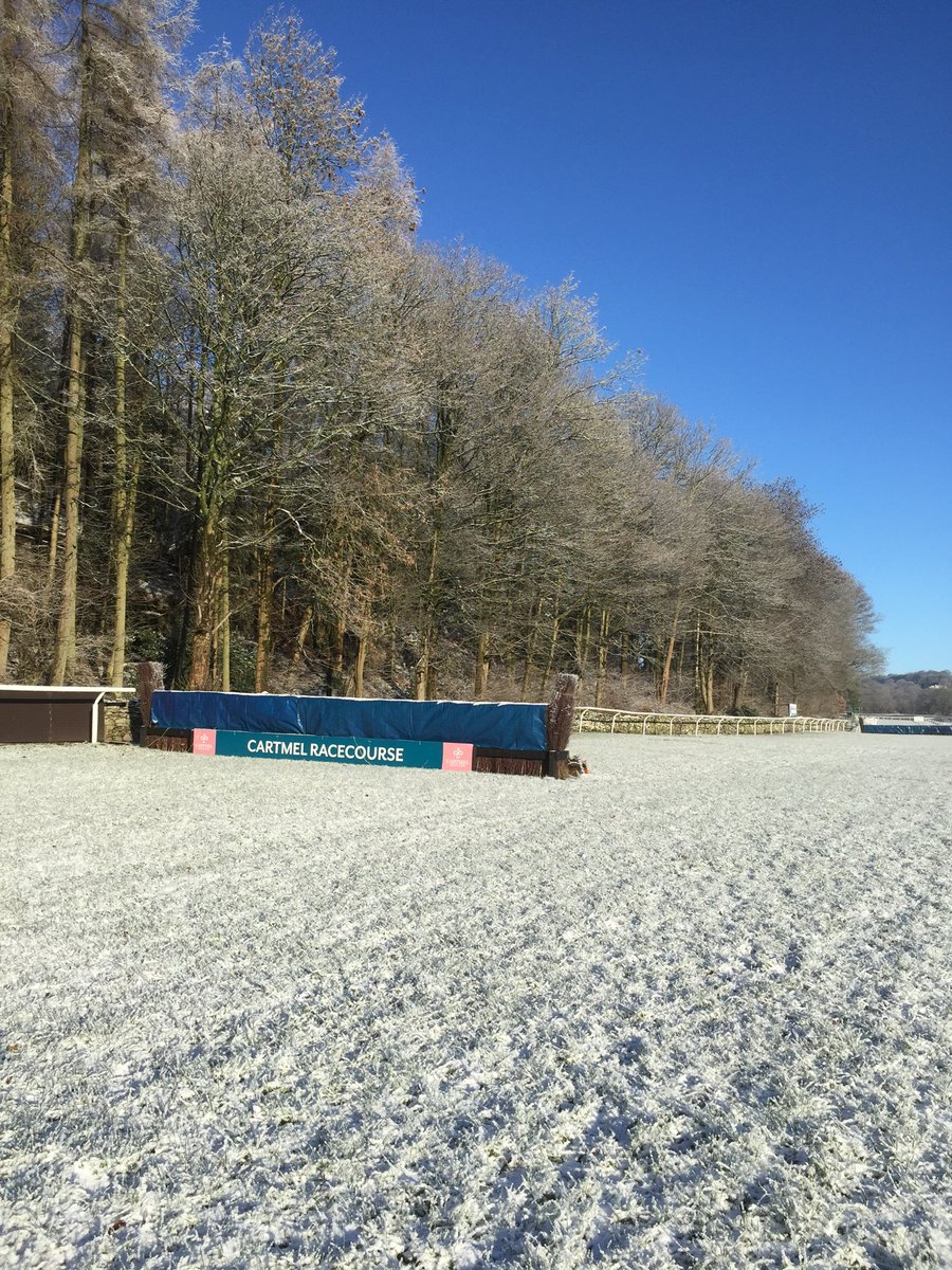 Anthea Morshead tweet media