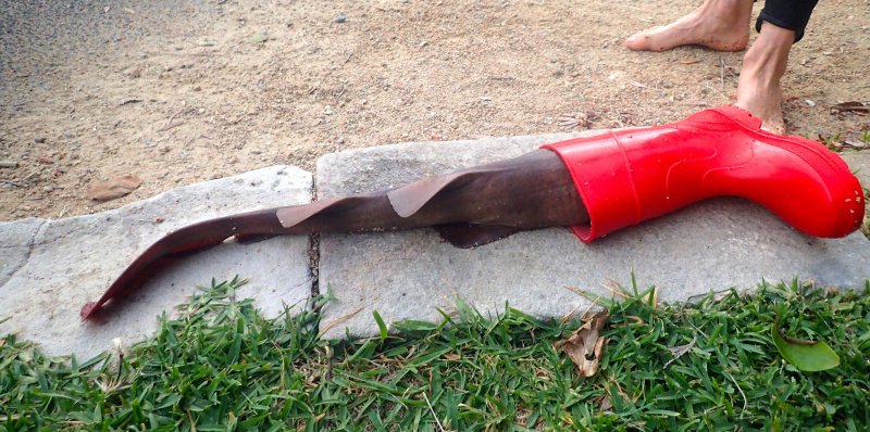 bairdjulia's tweet photo. Rescue of blind shark on the morning swim, stuck in a kid's gumboot. https://t.co/sYQhFhOEmy