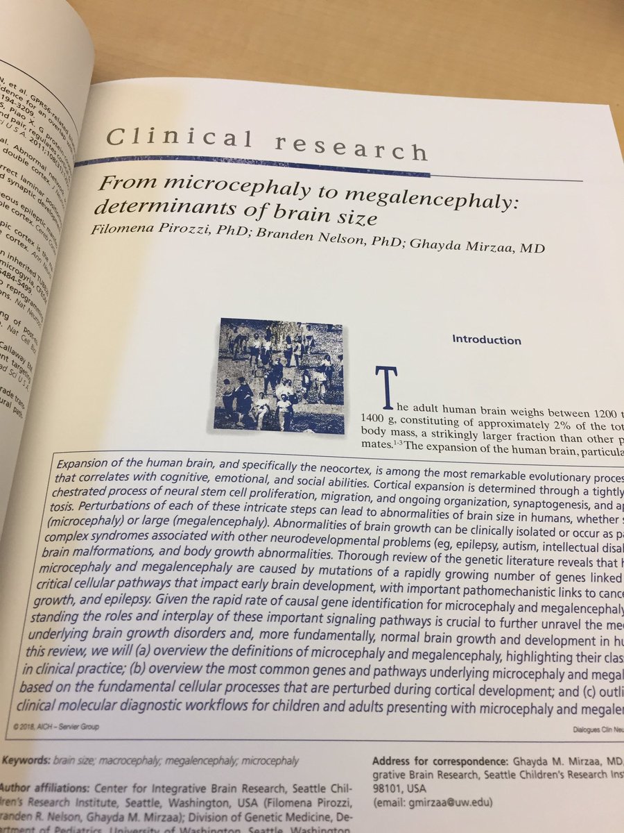 biomilly's tweet image. Nothing beats the feel of the actual paper in your hands #neuroscience #brain #clinicallabscience #science #reviews. A great shoutout to Ghayda Mirzaa, because working with her it’s fun!