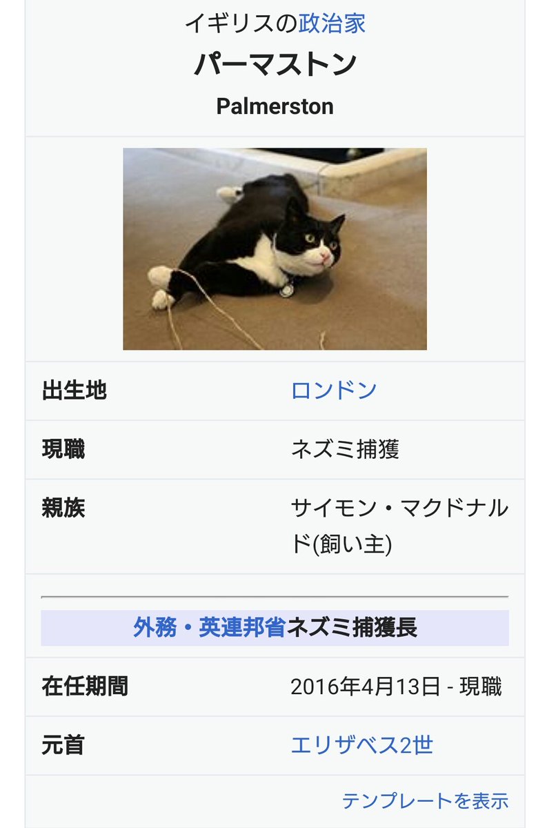 イギリスの外務省や首相官邸で働く猫の政治家さんたちが可愛すぎるしなんかエラい 肩書かっこいい Togetter イギリスの外務省や首相官邸で働く猫の政治家さんたちが可愛すぎるしなんかエラい 肩書かっこいい Togetter