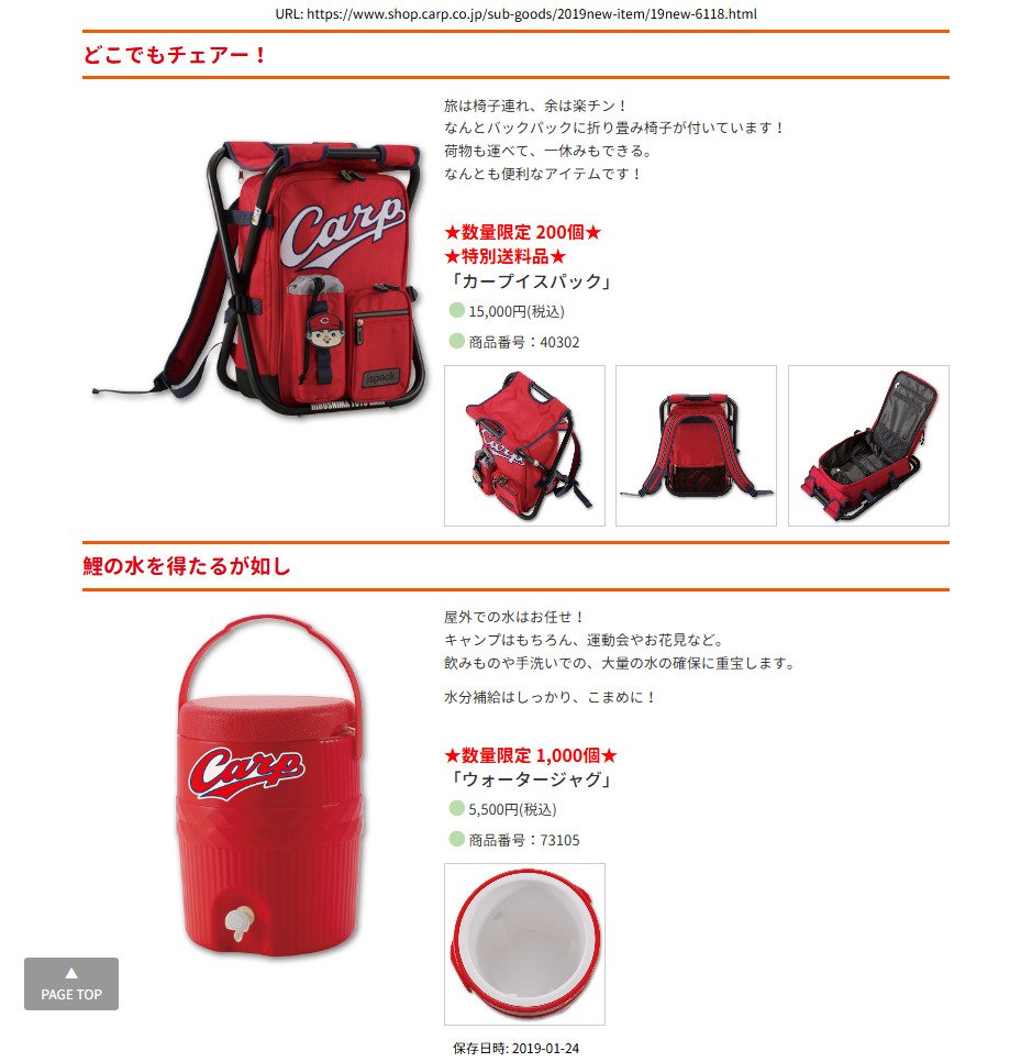 再追加販売 カープグッズ2020限定品400点 カープイスパック | www