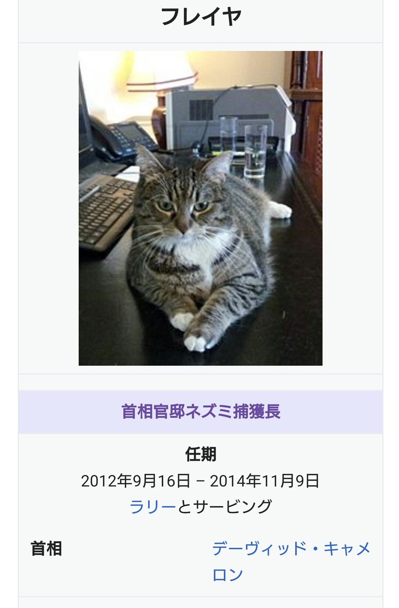 イギリスの外務省や首相官邸で働く猫の政治家さんたちが可愛すぎるしなんかエラい 肩書かっこいい Togetter イギリスの外務省や首相官邸で働く猫の政治家さんたちが可愛すぎるしなんかエラい 肩書かっこいい Togetter