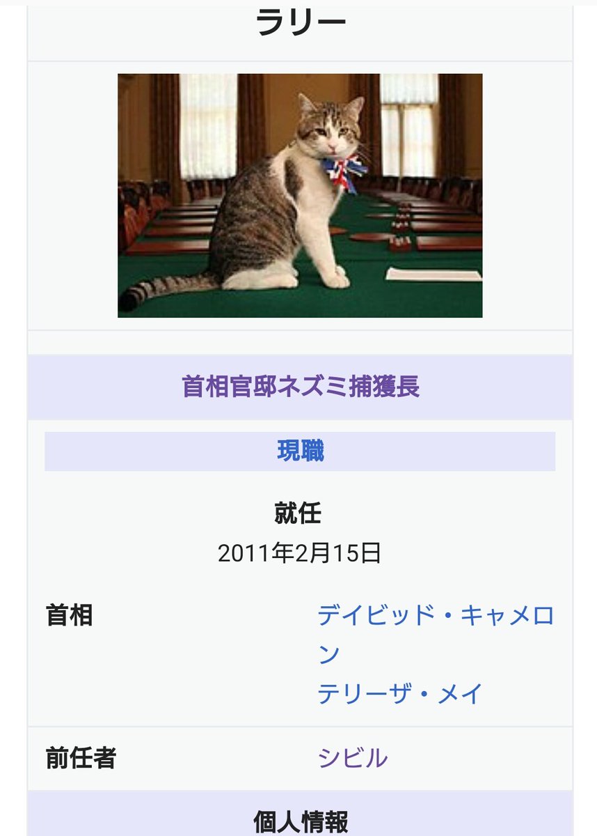 イギリスの外務省や首相官邸で働く猫の政治家さんたちが可愛すぎるしなんかエラい 肩書かっこいい Togetter イギリスの外務省や首相官邸で働く猫の政治家さんたちが可愛すぎるしなんかエラい 肩書かっこいい Togetter