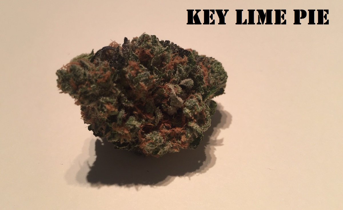 grassshackPDX's tweet photo. NEW FLOWER ALERT! Come by and see our latest strains from ColdFrameFarms!
For use by adults 21 years or older. Keep out of reach of children.  Do not operate a vehicle or machinery under the influence of cannabis. Nothing for sale online. #PDX #Portland420 #CannabisPDX https://t.co/B5Ns24gvY8
