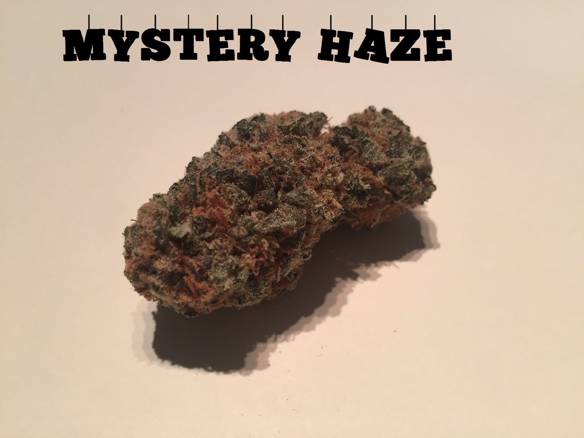 grassshackPDX's tweet photo. NEW FLOWER ALERT! Come by and see our latest strains from ColdFrameFarms!
For use by adults 21 years or older. Keep out of reach of children.  Do not operate a vehicle or machinery under the influence of cannabis. Nothing for sale online. #PDX #Portland420 #CannabisPDX https://t.co/B5Ns24gvY8