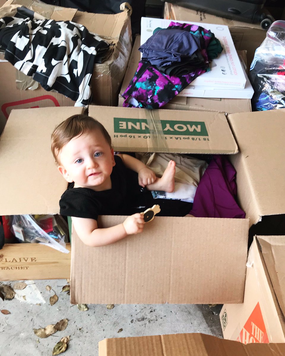 JESSI's tweet photo. But does he spark joy? @MarieKondo https://t.co/0gcMN8Fc60