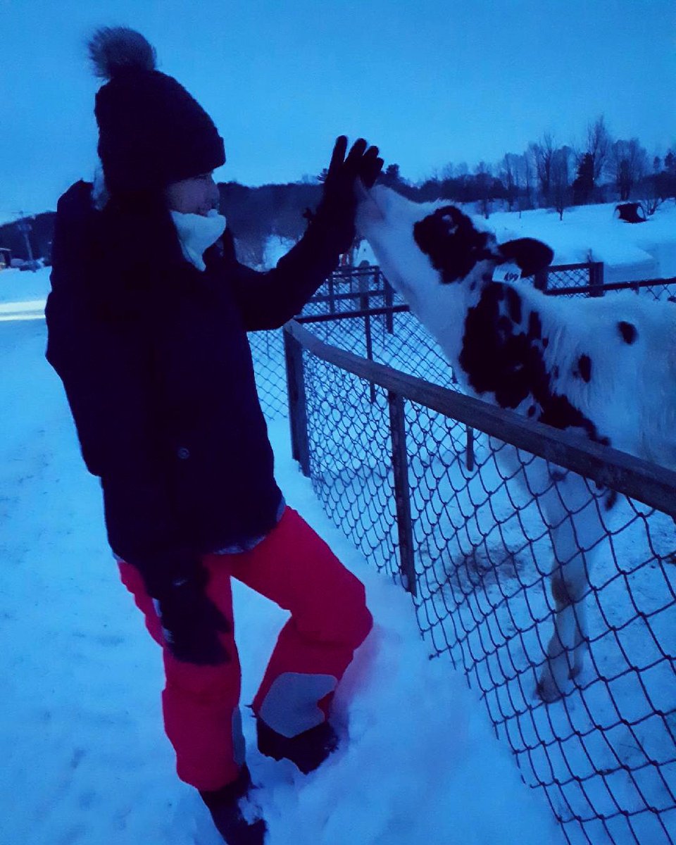 KimRochon1's tweet photo. Belle compagnie à l'école !! 
#lovewhatyoudo so #dowhatyoulove !! 🖤🐄 #vettech https://t.co/cmoDAzCKGp