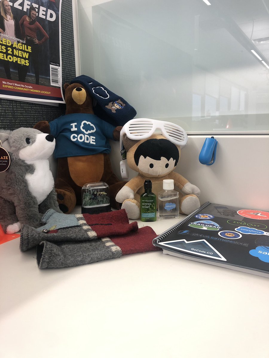 The gang is settling into their new home nicely. #salesforceswag #boulderdeveloper