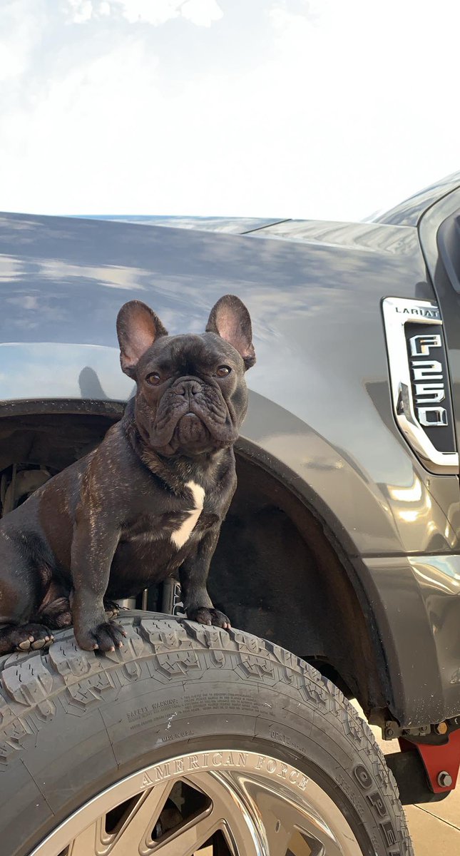 GKeye87's tweet image. My guy!