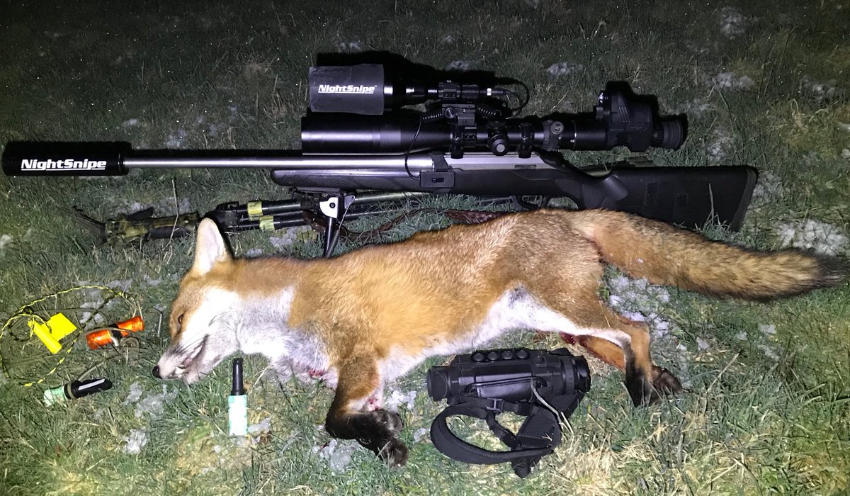 KOD Kiss of Death Fox Call to the rescue tonight, nothing seemed to work on another perm, but with my hands and feet feeezing I tried another field and a big dog fox came romping in from 300yds to 50yds taken off the sticks
#KOD #foxcallscouk #foxshooting #t2 #minimeanie #pard