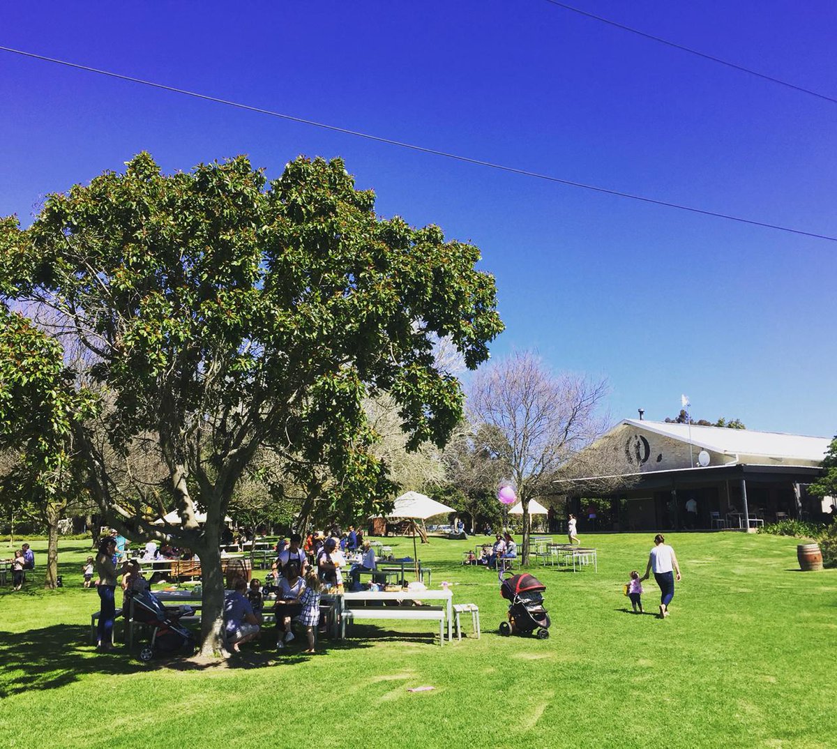 <a href="/BluesBroers/">Blues Broers</a> see you at <a href="/StelliesTaproom/">Stellies Taproom</a>  for an eveing picnic on Sat 9 Feb at 8 pm. Magnificent kid-friendly venue with an awesome  jungle gym and loads of space.  Bookings on <a href="/QuicketSA/">Quicket South Africa</a> 
<a href="/JoostenbergWine/">Joostenberg Wines</a> @BassonLaubscher  <a href="/maggienagel/">Maggie Nagel</a>   #stellenbosch #kidfriendly