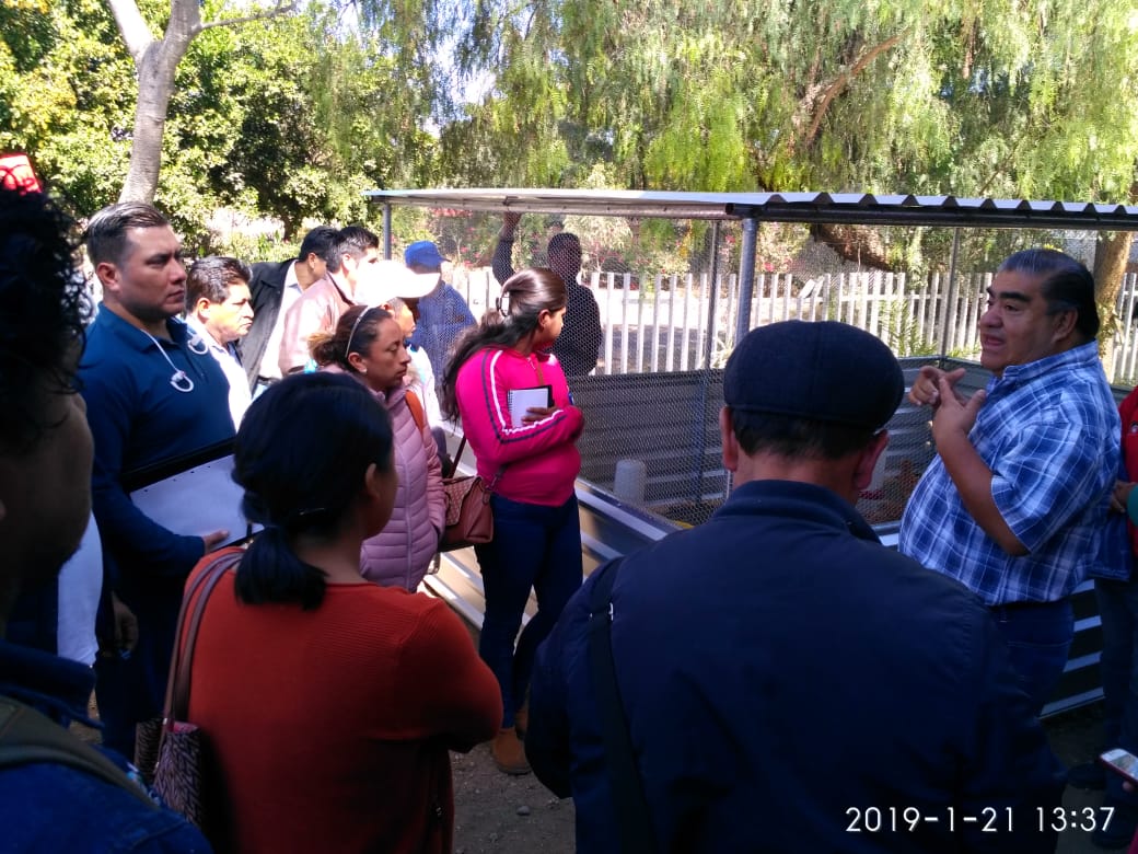 MogarzSC's tweet photo. - Actividad: Reunión de planeación.
- Estrategia: #PESA #DIFOaxaca.
- Lugar: #DIFOaxaca, Oaxaca de Juárez.
- Responsable: L. A. Ricardo Rosas.
 
#WeCanDoIt 💪
#LaMixtecaOaxaqueña 🌄

@IvetteMurat
@alejandromurat
@lopezobrador_
#SADER
#SEDAPA
#Oaxaca https://t.co/0WCtmViW6I