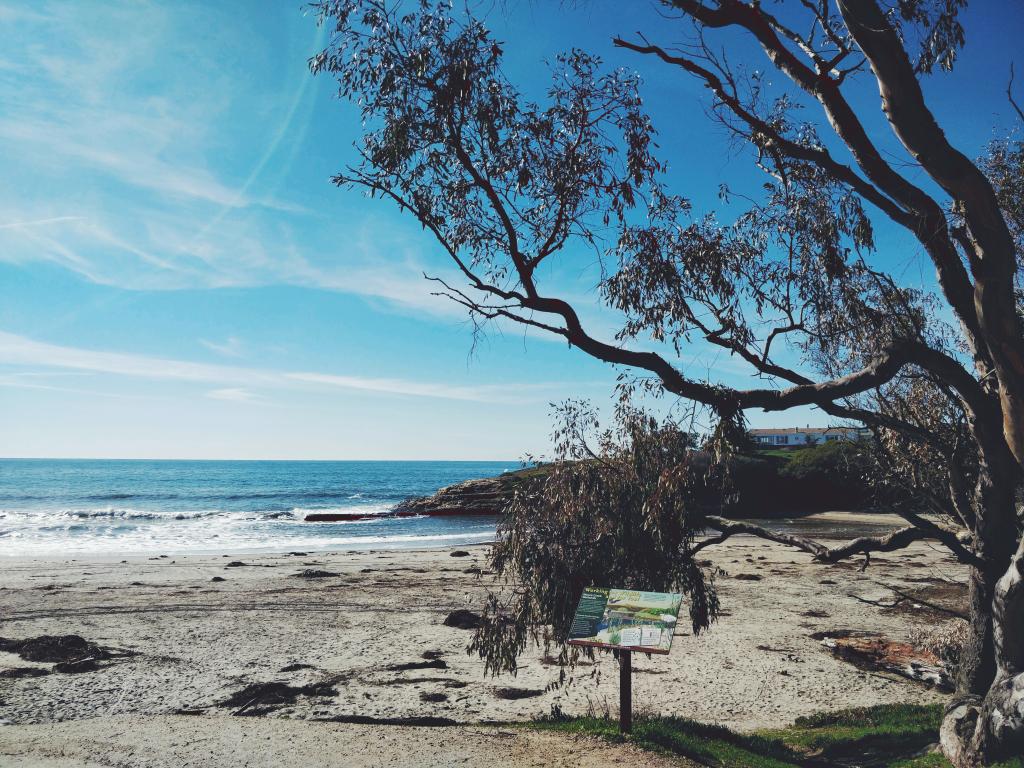 Water, oceans, beaches I love them 😍❤️🌴☀️ #naturalbridges #california #westcoast