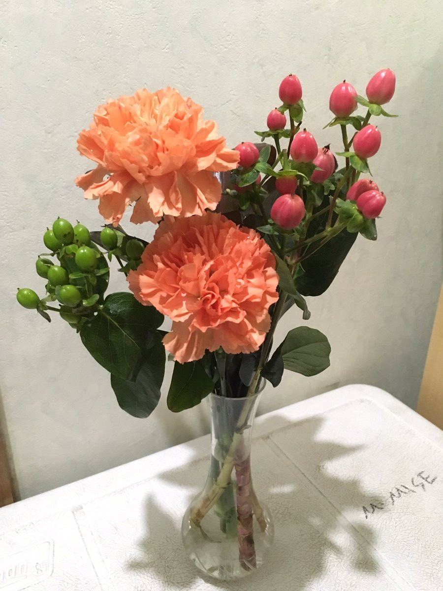 טוויטר みせ麻里日本共産党浦安市議 בטוויטר 初めてお会いした姉の友人からお花をいただき感激です 大好きなヒペリカム 花束 ヒペリカム オレンジ カーネーション 赤ドラセナ T Co 3iwwwt0ntz