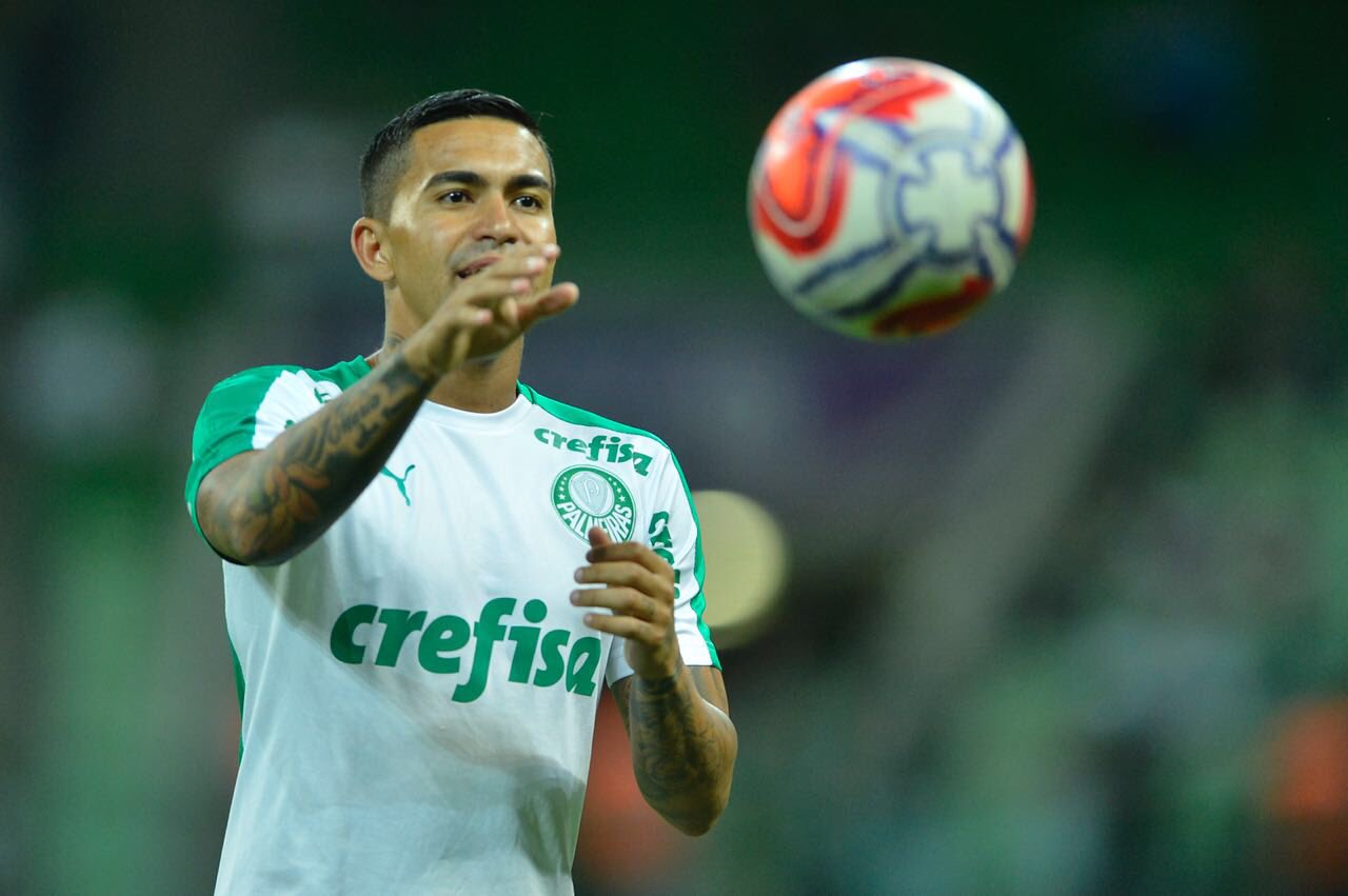 Conjunto Pré-jogo Palmeiras 2023/24 - (cópia)