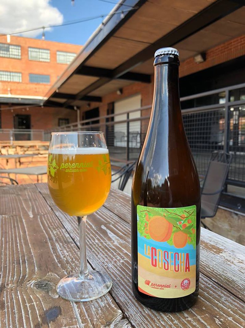 Sauce Magazine tweet media