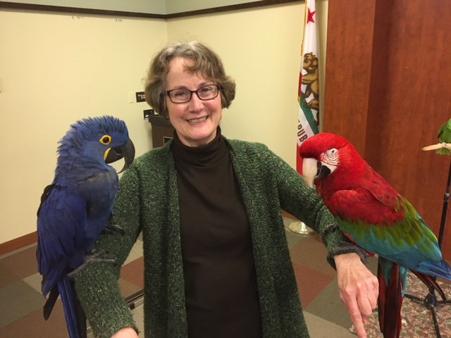 San Jose Public Library tweet media