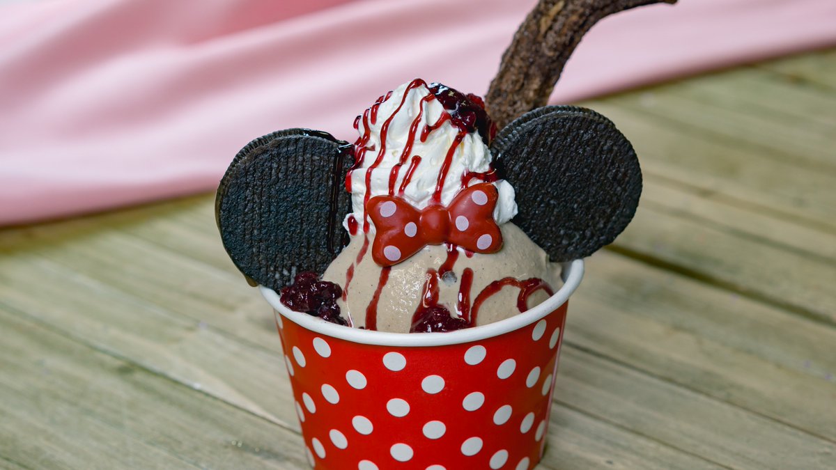 Disneyland tweet picture