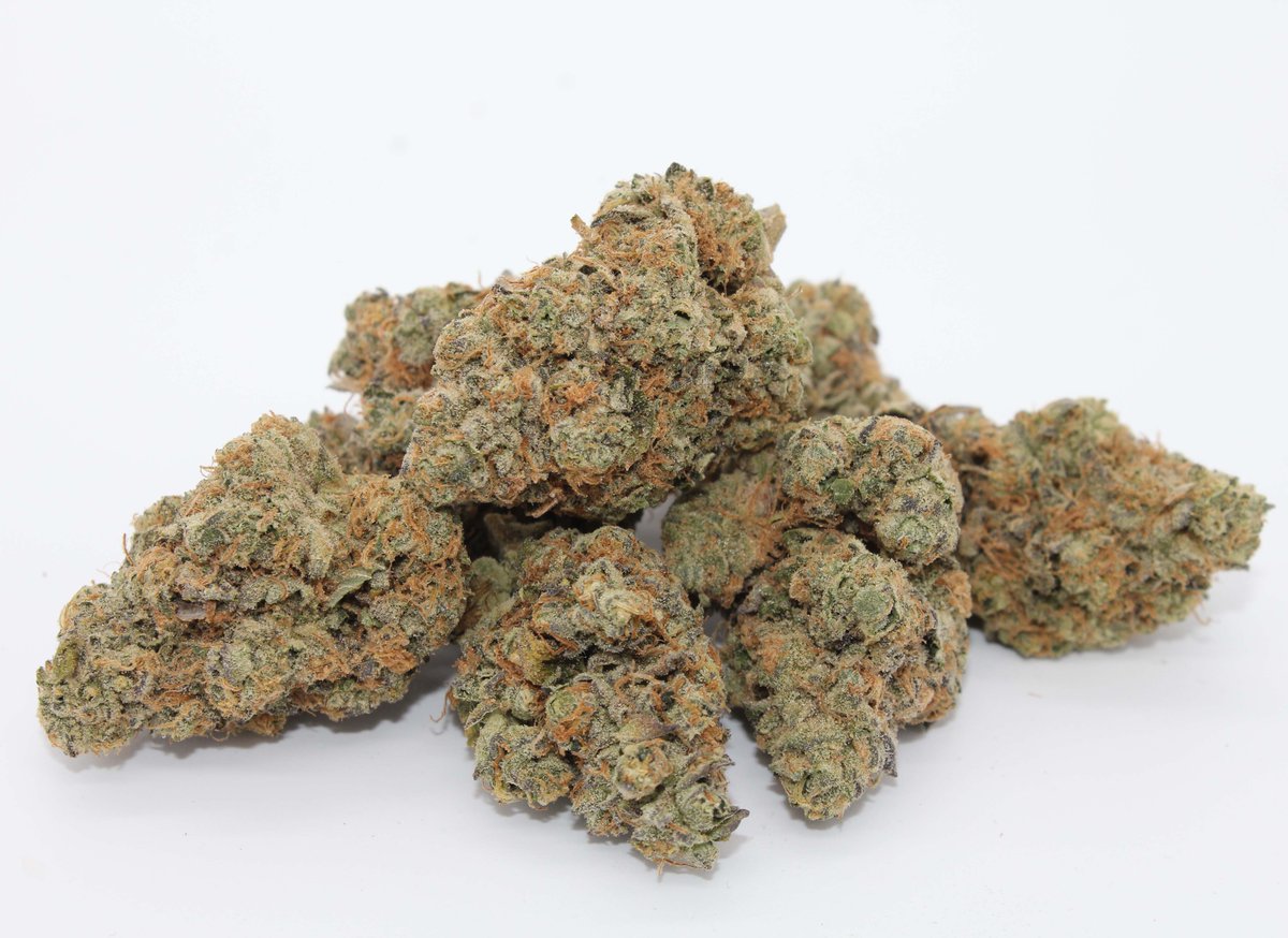 🍪Girl Scout Cookies🍪 
This tasty hybrid is too hard to resist #treatyoself
#ganjagold #GirlScoutCookies #hybrid #flower #bayarea #california
GanjaGold™️ is a manufacturer of cannabis products, License # CDPH- T00001197 legally manufactured in CA. For adults 21+, not for sale