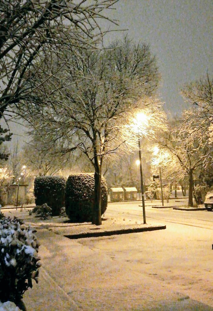 SkyMonz22's tweet photo. Esco dal pub e questo è lo spettacolo che mi si presenta davanti! Subito mi assale il panico perché sono in macchina, ma poi rimango estasiata dalla magia della neve e dalla bellezza di vedere
Modena sotto la neve❄💙 
#LetItSnow #ModenaAmoreMio https://t.co/IyXTWrxRKh