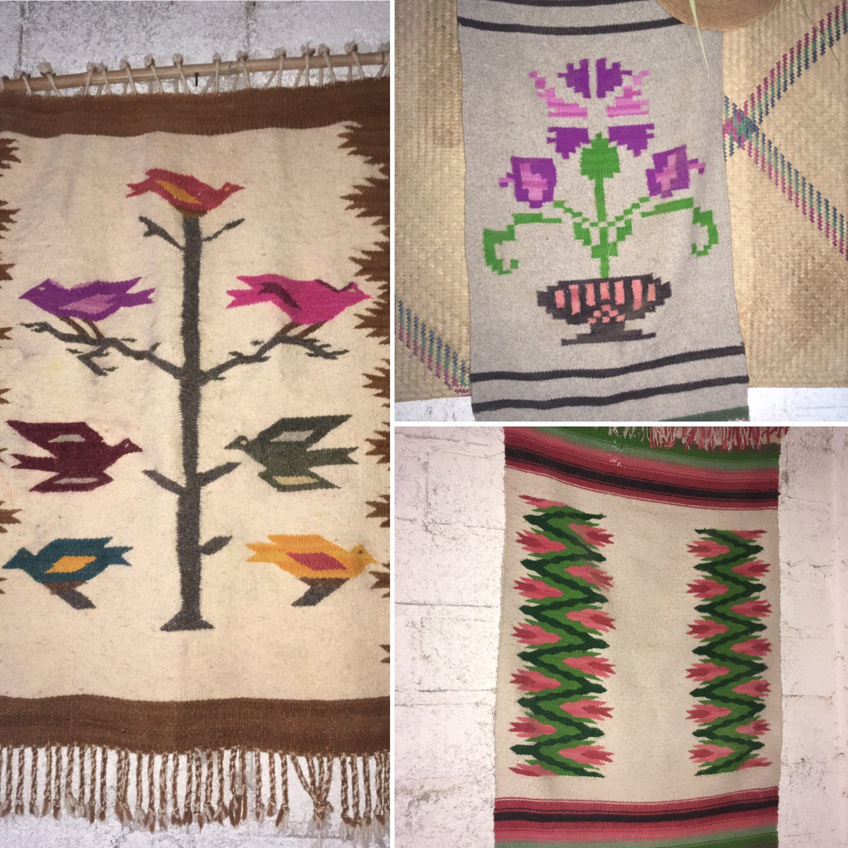 Sergio_concolor's tweet photo. I visited the land where I grew up #Zacatecas #Mexico
I love the color of the soil, the corn, the textiles & the sounds, smells, flavors, stories that live in this place. So many memories, laughter, learning, sharing with #familiaAvila #yosoymaiz #Iamcorn #corn #whereIcomefrom https://t.co/MHIPpRVIlG
