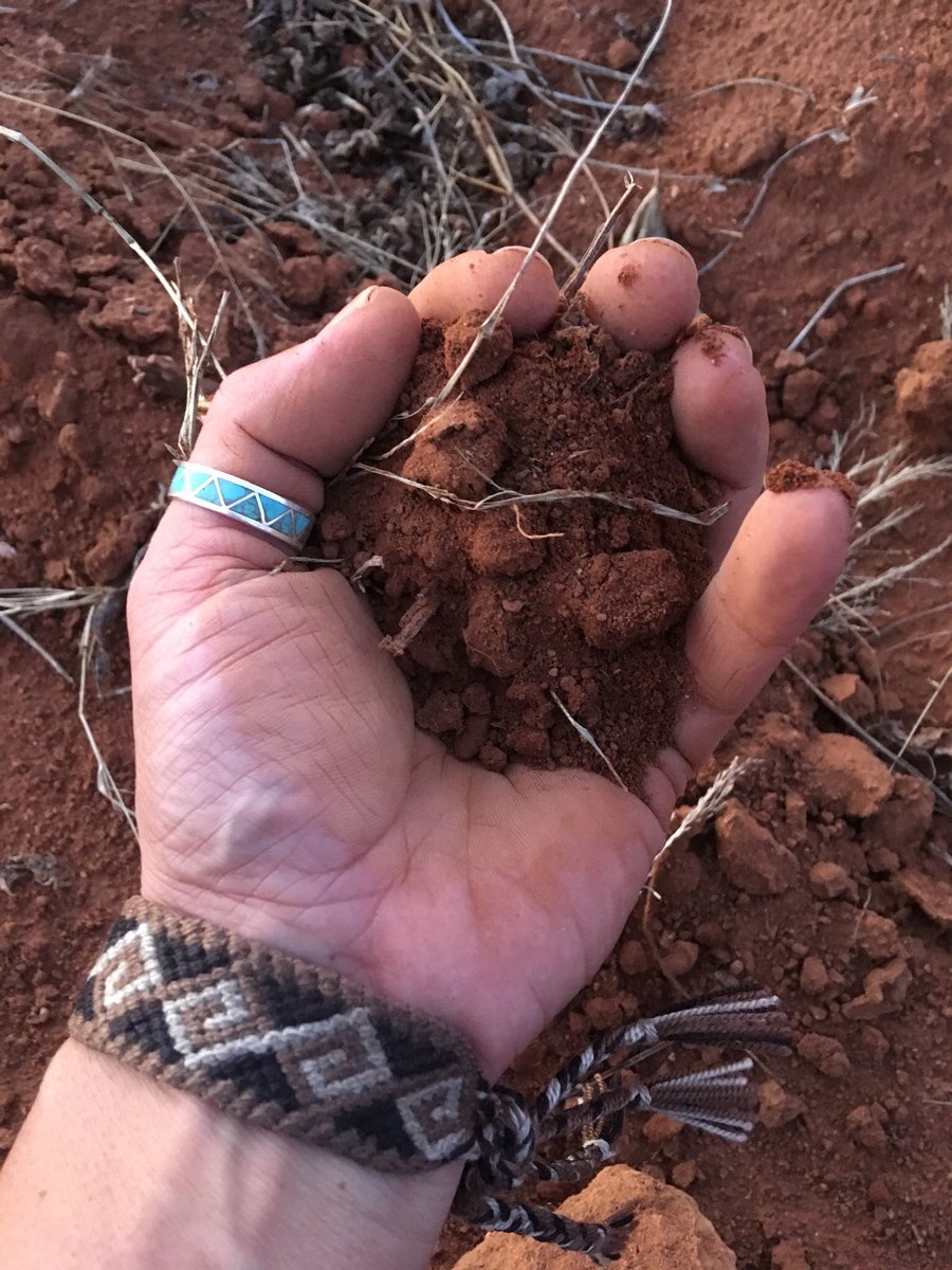 Sergio_concolor's tweet photo. I visited the land where I grew up #Zacatecas #Mexico
I love the color of the soil, the corn, the textiles & the sounds, smells, flavors, stories that live in this place. So many memories, laughter, learning, sharing with #familiaAvila #yosoymaiz #Iamcorn #corn #whereIcomefrom https://t.co/MHIPpRVIlG