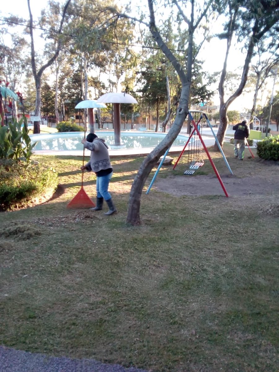 AlcaldiaAO's tweet photo. Se realiza poda, riego y barrido en #Parque2000, Col. #Jalalpa. Cuidemos nuestras áreas verdes. #AOVerde https://t.co/shV2Da6qLm