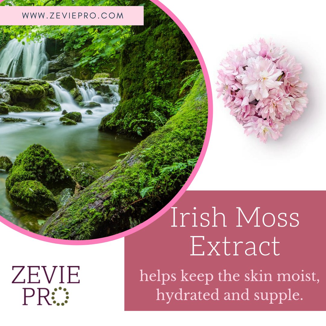 zeviepro1's tweet photo. #Irish #Moss #Extract: Irish moss is seaweed that is found and harvested in shallow water &amp; a great source of many #healthy #vitamins and beautifying #minerals. We use Irish Moss Extract on our Organic Glycolic Gel Cleanser as it works well to help promote a healthy pH balance. https://t.co/L32alPfNKg