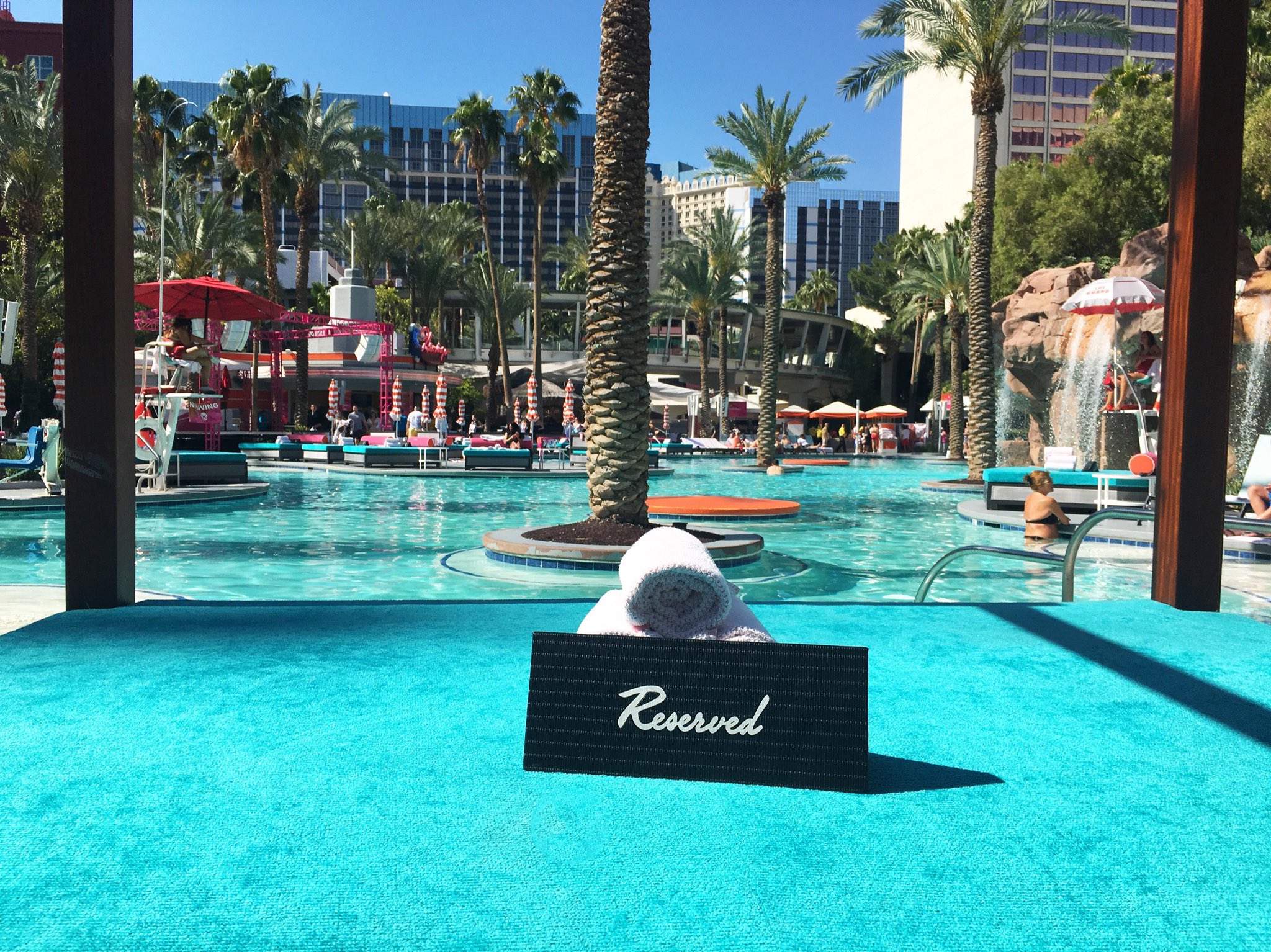 Flamingo Las Vegas on Twitter: "🚨 Pool season officially ...