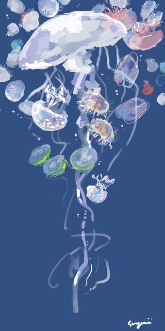 「jellyfish」 illustration images(Oldest)