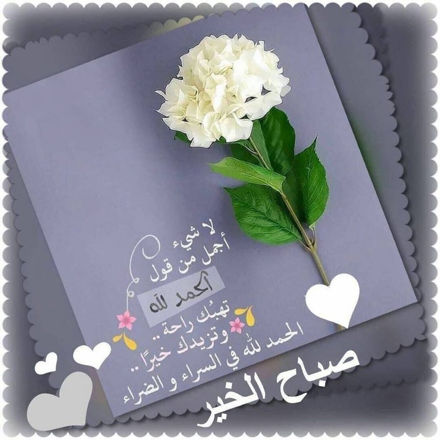 raydasiri6 tweet picture
